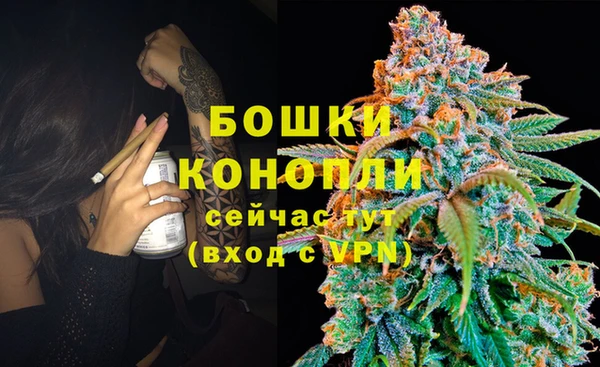 гидра Балабаново