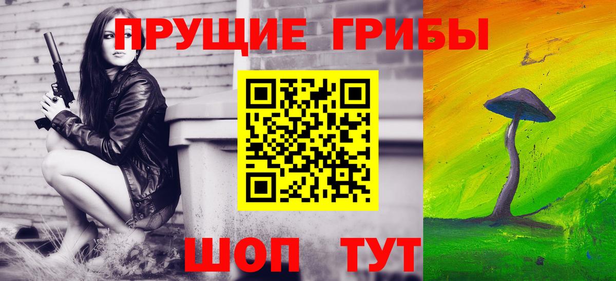 Псилоцибиновые грибы Cubensis  Вход с VPN  Черняховск  Галлюциногенные грибы MAGIC MUSHROOMS 