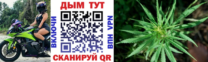 Марихуана SATIVA & INDICA  Черняховск 